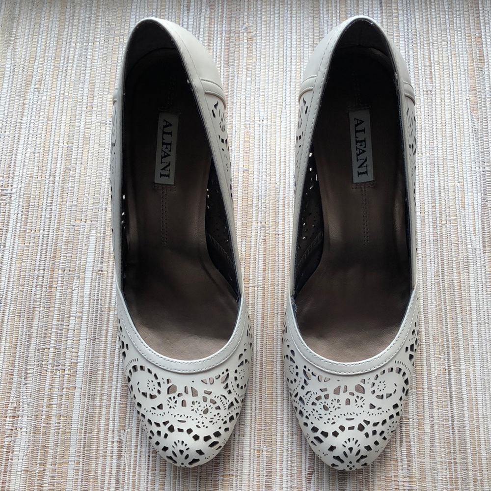 Alfani Quest Perforated Pump